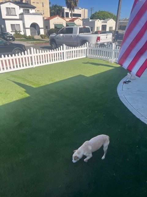 Pet Turf Installation | Green Empire